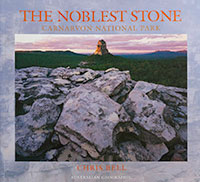 Nolest stone