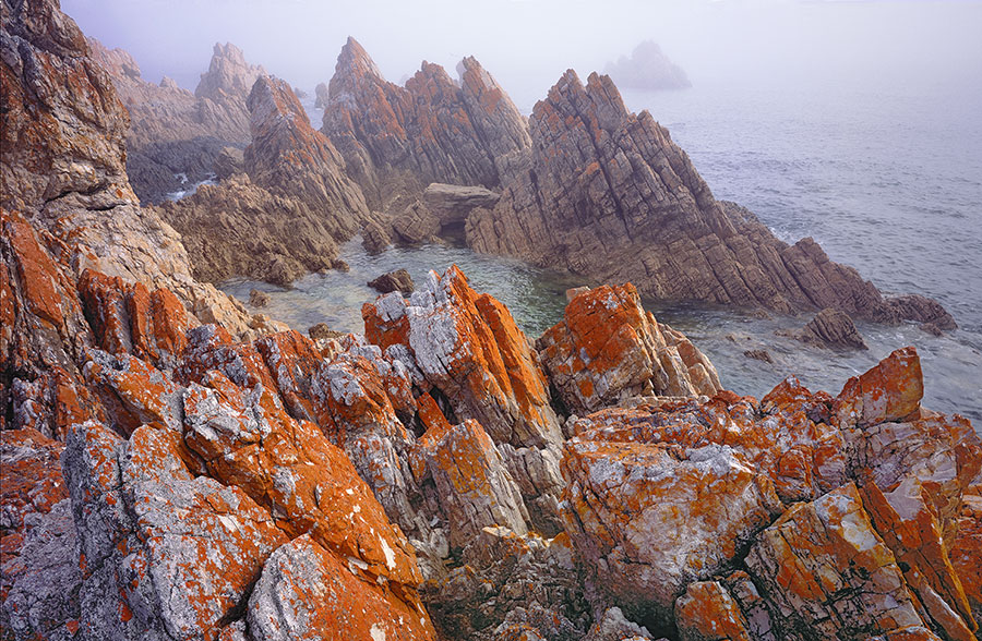 image of North West Tasmania