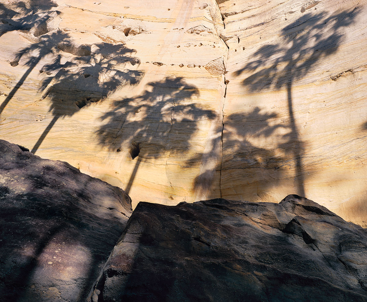 image of Palm tree shadows, Carnarvon Gorge