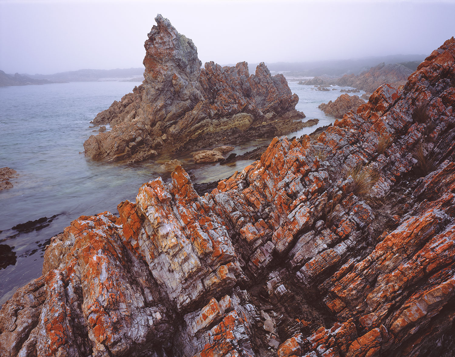 image of Island in mist, Tasmania